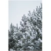 Christmas Snowy Tree